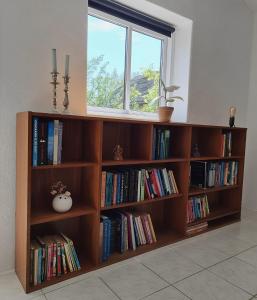 een boekenplank gevuld met boeken naast een raam bij Calm and idyllic surroundings in Northen Jutland in Nibe