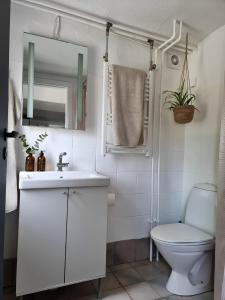 a bathroom with a sink and a toilet and a mirror at Calm and idyllic surroundings in Northen Jutland in Nibe