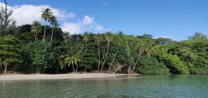 a beach with palm trees and the water at ALAROOTS HUAHINE in Haapu