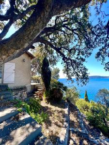 een huis met uitzicht op het water bij Ô perché in Toulon