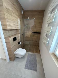 a bathroom with a shower and a toilet in it at LuxFlats Apartament Sztormowy in Jastrzębia Góra