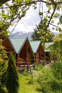 a log cabin with a green roof in the woods at Tara Riverside in Mojkovac