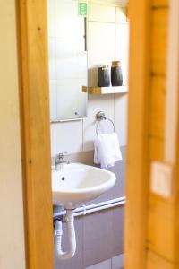 a bathroom with a sink and a mirror at Tara Riverside in Mojkovac