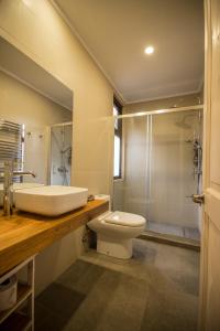 a bathroom with a sink and a toilet and a shower at Refugio Austral Coigües en Corralco in Malalcahuello +42 photos