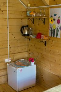 ein kleiner Kühlschrank in einem Zimmer mit Holzwänden in der Unterkunft Tara Riverside in Mojkovac