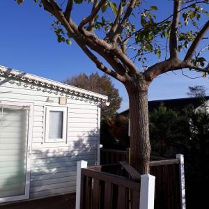 un albero di fronte a una casa con una recinzione di Marennes mobilhome 46 Domaine des pins a Marennes