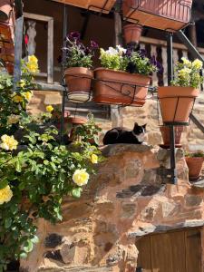 Murias de RechivaldoにあるAlbergue Rural Las Águedasのギャラリーの写真