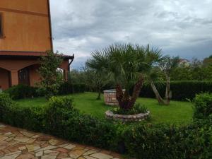 un patio con palmeras y una casa en The Garden Guest House, en Divjakë