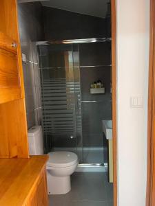 een badkamer met een toilet en een glazen douche bij Passagem Pro Mar in Valado dos Frades