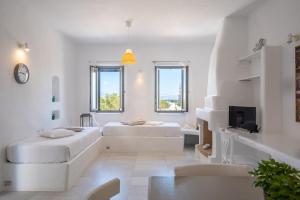 TV a/nebo společenská místnost v ubytování Aeraki Villas