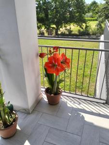 Balkón nebo terasa v ubytování alloggio le due querce