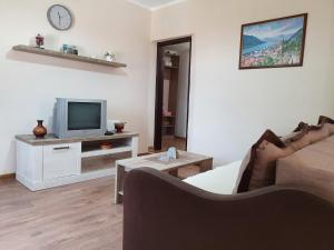 een woonkamer met een bank en een tv bij Apartment Marta in Kotor