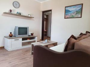 a living room with a couch and a tv at Apartment Marta in Kotor