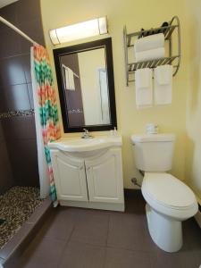 a bathroom with a toilet and a sink and a mirror at North Bay Inn in North Bay