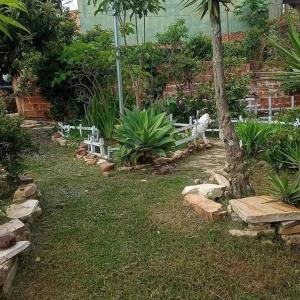 a garden with benches and a palm tree and a building at Hostel e Pousada Gratiluz in São Thomé das Letras +17 photos
