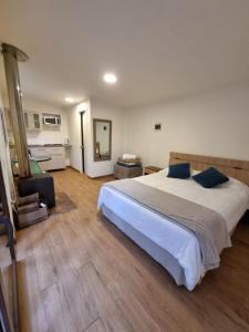 1 dormitorio con 1 cama grande y cocina en Cabaña Ensenada, Puerto Varas - 1 ambiente en Puerto Varas