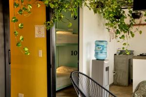 Fotografie z fotogalerie ubytování Casa Nomada Tuxtla Hotel - Hostal v destinaci Tuxtla Gutiérrez