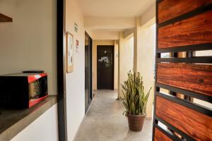 Fotografie z fotogalerie ubytování Casa Nomada Tuxtla Hotel - Hostal v destinaci Tuxtla Gutiérrez