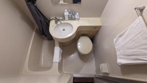uma pequena casa de banho com lavatório e WC em The Joint em Hakuba