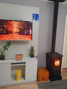 a living room with a stove and a tv at Casa Deni in Nova Petrópolis