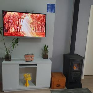 a living room with a tv and a wood stove at Casa Deni in Nova Petrópolis
