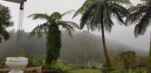Um jardim no exterior de Acme Divine View