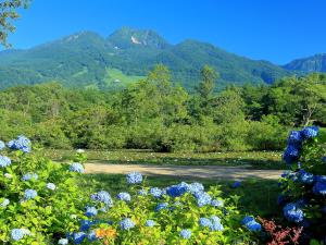 a field of flowers with mountains in the background at Ryokan Okayama in Akakura