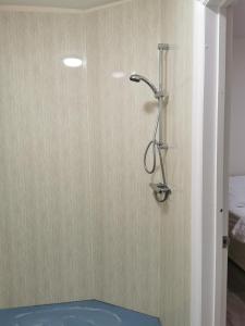 a shower in a bathroom with a wall at Glory House in Ilford