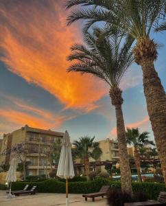 twee palmbomen en een paraplu en een gebouw bij Chez Sam in Sharm El Sheikh