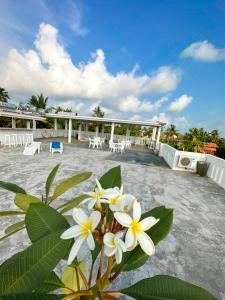 Mynd úr myndasafni af Sunset Sands í Hikkaduwa
