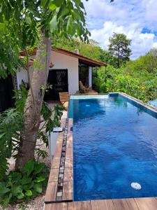 a swimming pool in a backyard with a tree at Casa Namaste del Pacifico - Luxury Villa in Santa Teresa Beach