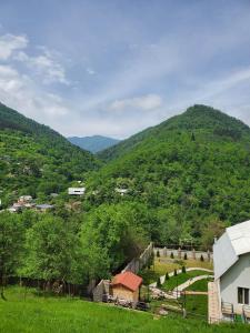Fotografie z fotogalerie ubytování DIOSKURIA BORJOMi v destinaci Bordžomi + 59 fotografií