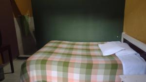 イピアレスにあるhotel valparaisoの緑の壁のベッドが備わる緑の部屋