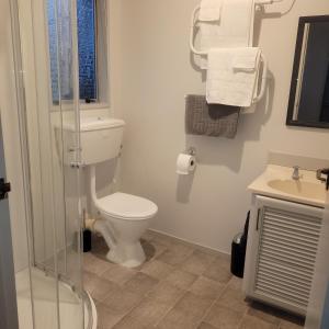 a bathroom with a toilet and a sink at Couples Retreat in Reefton