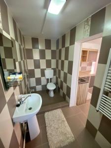 uma casa de banho com um lavatório e um WC em Ardelean Apartment em Oradea
