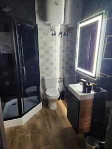 a bathroom with a toilet and a shower and a sink at Leśny chillout in Solina