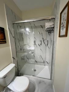 a bathroom with a glass shower with a toilet at Furnished and Cozy in Surrey