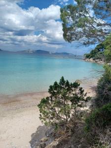 Táj Show holiday homes közelében