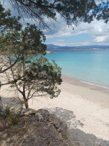 Táj Show holiday homes közelében