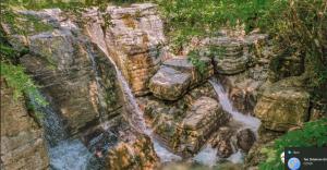 Gallery image of Guest House Roba in Gordi +31 photos