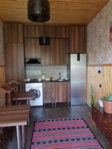 Kuchyň nebo kuchyňský kout v ubytování Cozy House Kazbegi