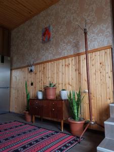 una stanza con piante in vaso su una parete di legno di Cozy House Kazbegi a Kazbegi
