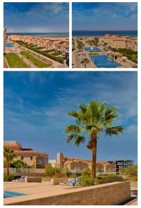 Amazing 2 bedroom Selena Bay Hurghada في الغردقة: ثلاث صور نخلة ومنتجع