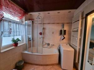 ein Badezimmer mit einer Dusche, einer Badewanne und einem WC in der Unterkunft Ferienwohnung *Zur Weinbergstraße* in Lauta