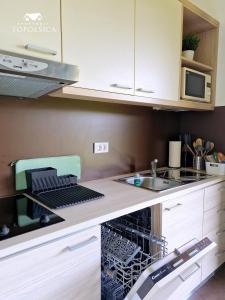 Kuchyň nebo kuchyňský kout v ubytování Apartment DREN near terme Topolšica