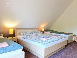 Postel nebo postele na pokoji v ubytování Apartment DREN near terme Topolšica