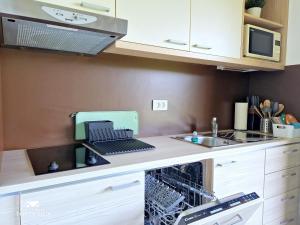 Kuchyň nebo kuchyňský kout v ubytování Apartment DREN near terme Topolšica