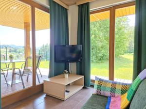 TV a/nebo společenská místnost v ubytování Apartment DREN near terme Topolšica