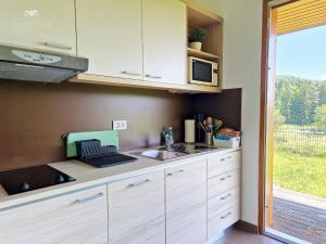 Kuchyň nebo kuchyňský kout v ubytování Apartment DREN near terme Topolšica