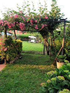 a garden with pink flowers on a pergola at Villa Celeste in Lucca
